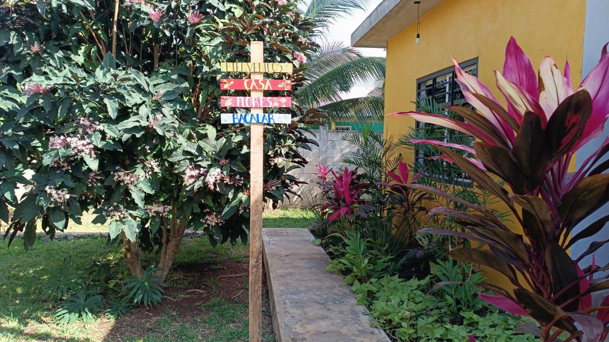 Casa Flores バカラル エクステリア 写真